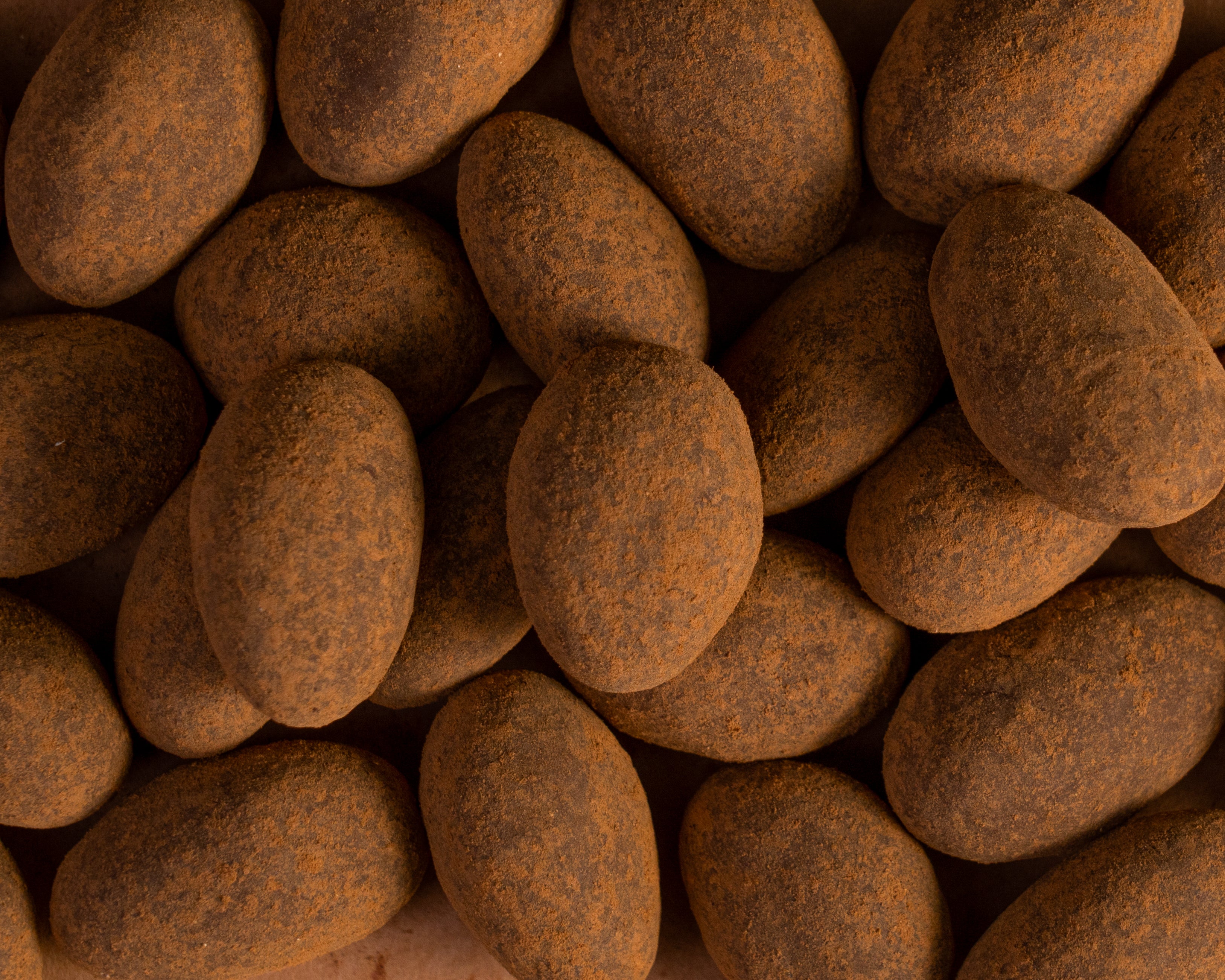 Mandeln mit Zimt schokoliert bio