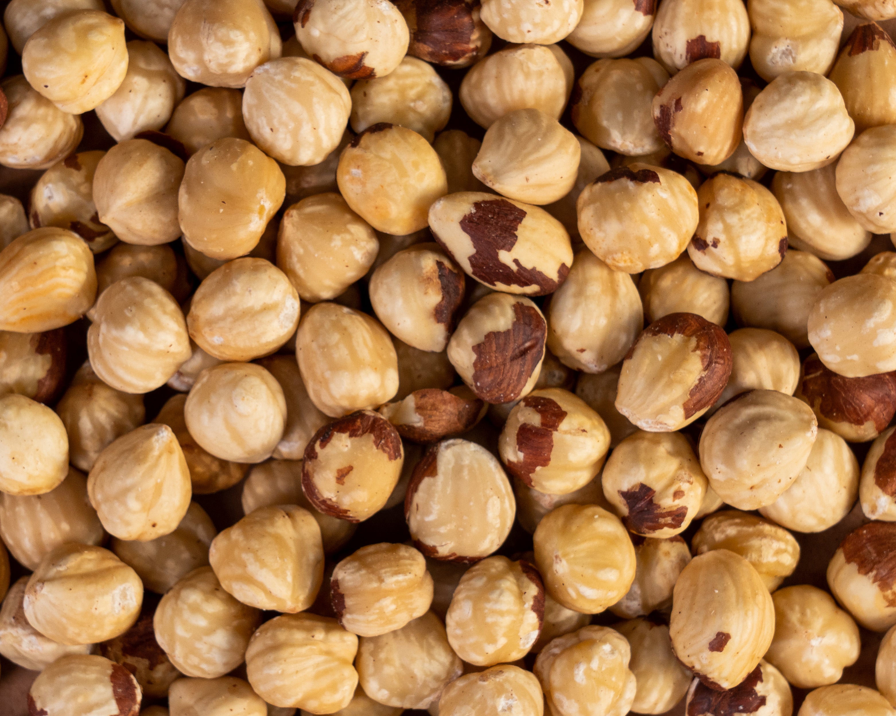 Haselnüsse blanchiert und geröstet