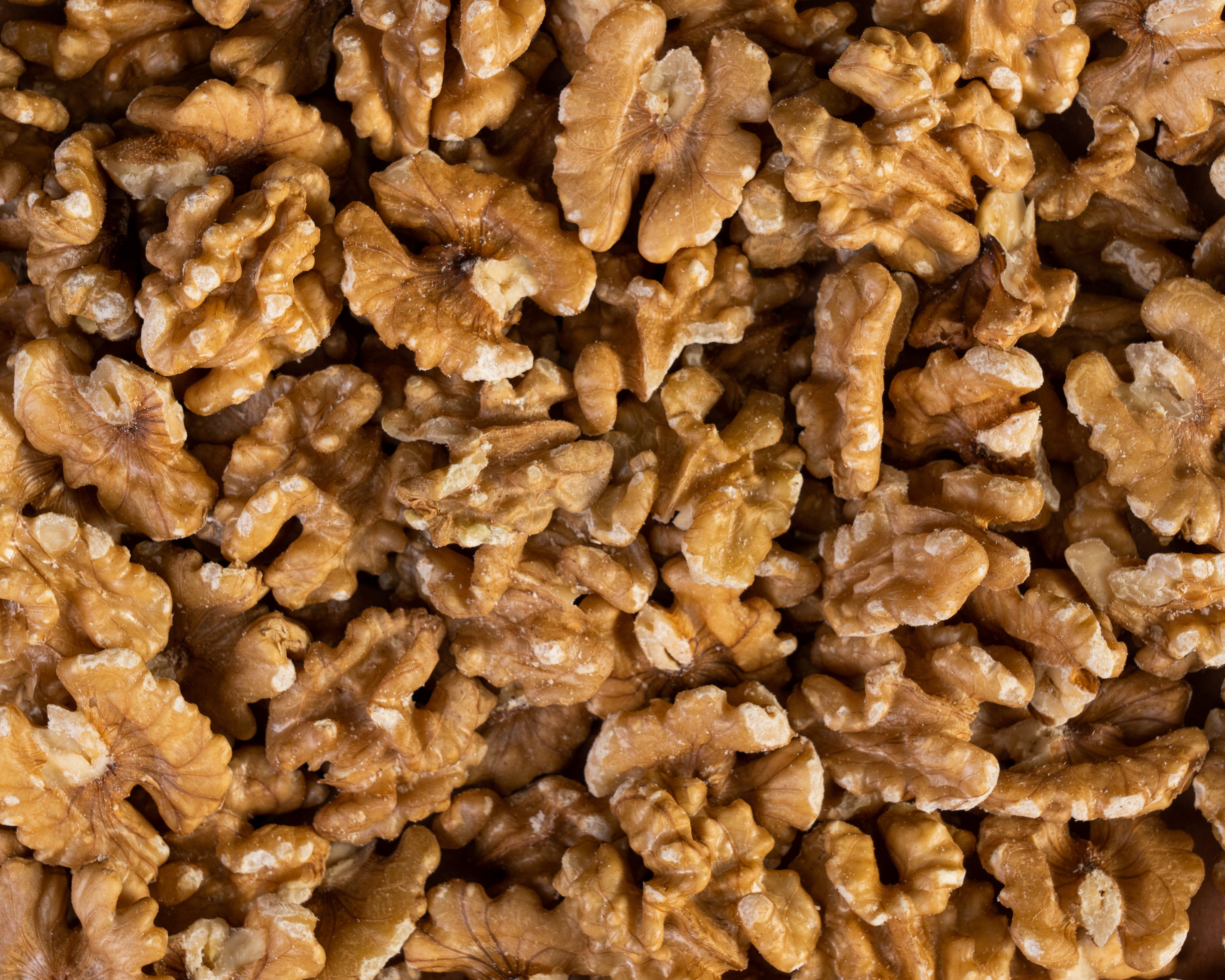 Walnusskerne Chile "Goldnüsse" bio