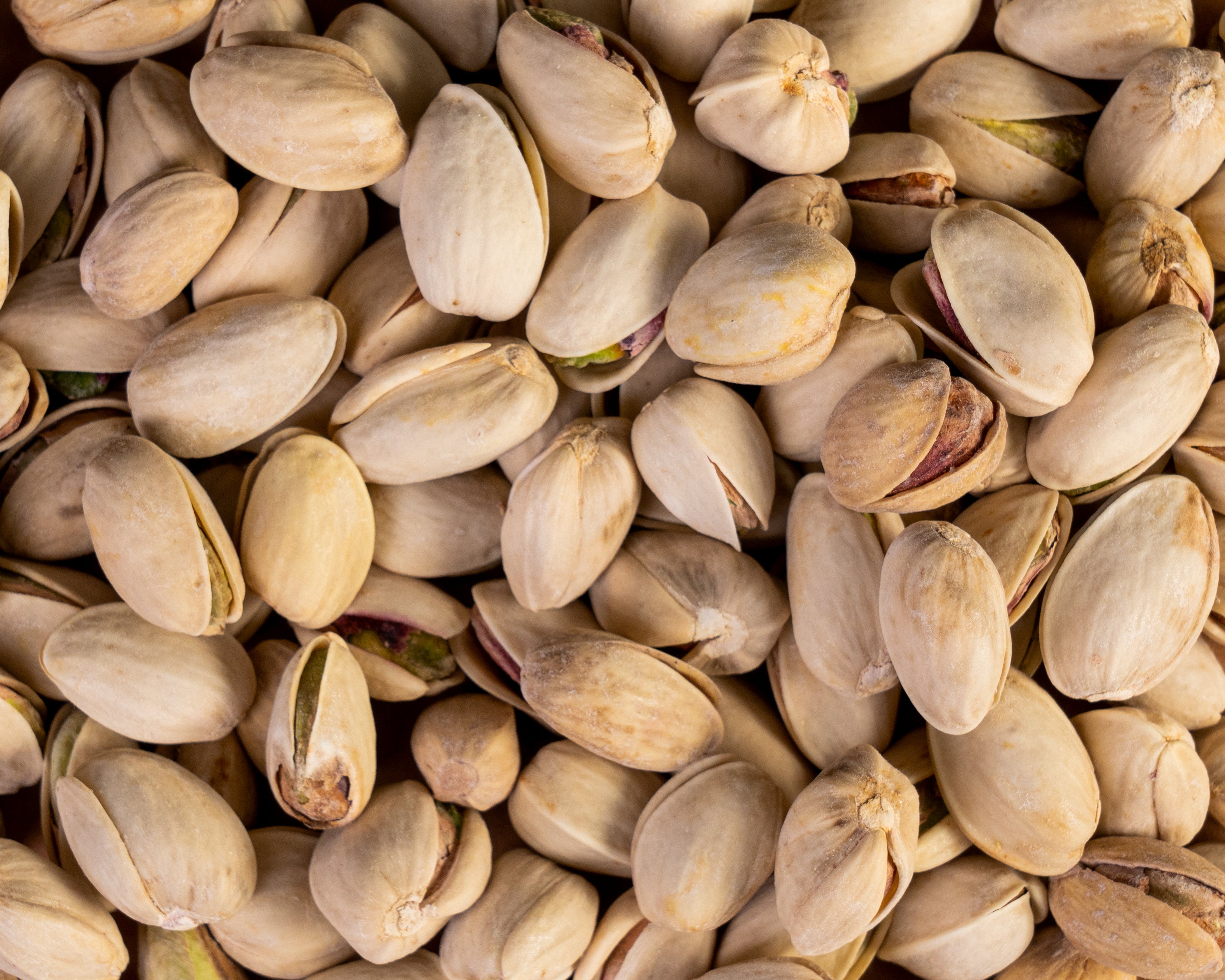 Pistazien in der Schale geröstet gesalzen bio