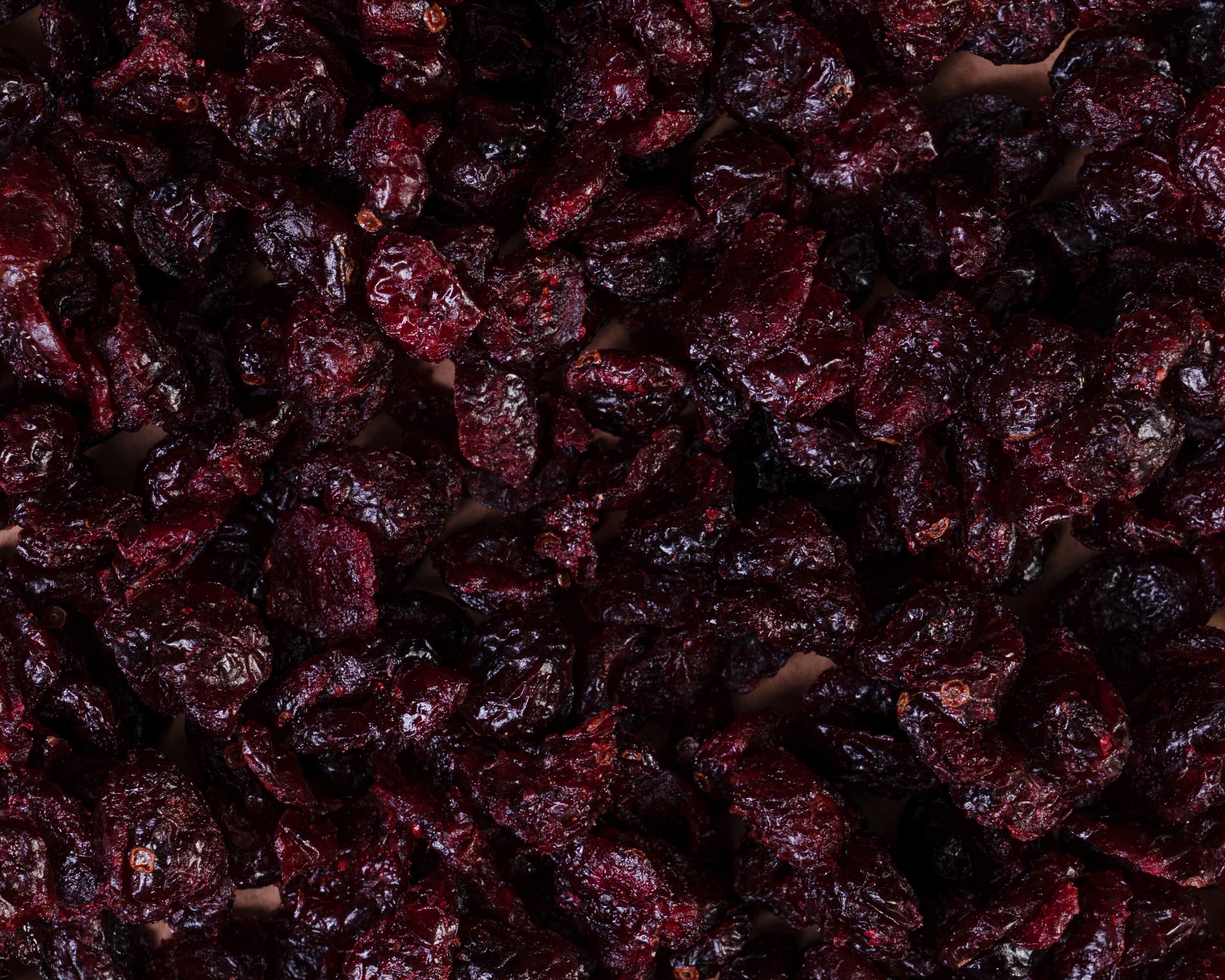 Getrocknete Cranberries bio als Nahaufnahme